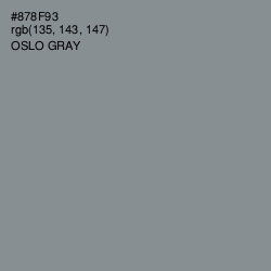 #878F93 - Oslo Gray Color Image